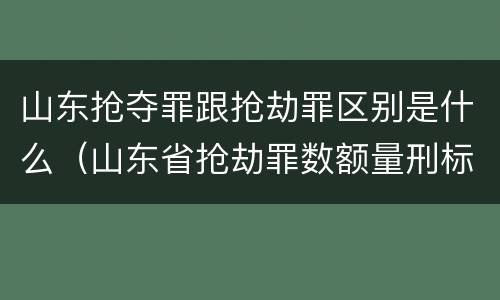山东抢夺罪跟抢劫罪区别是什么（山东省抢劫罪数额量刑标准）