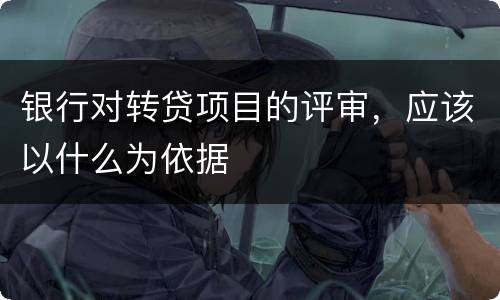 银行对转贷项目的评审，应该以什么为依据