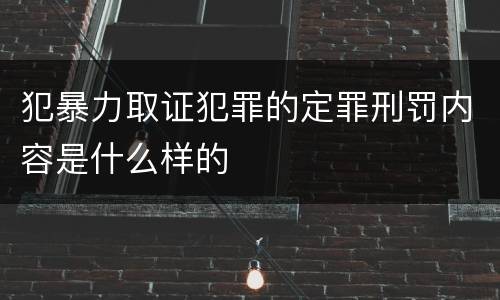犯暴力取证犯罪的定罪刑罚内容是什么样的