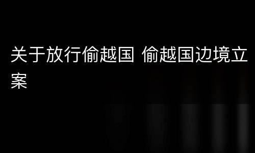 关于放行偷越国 偷越国边境立案
