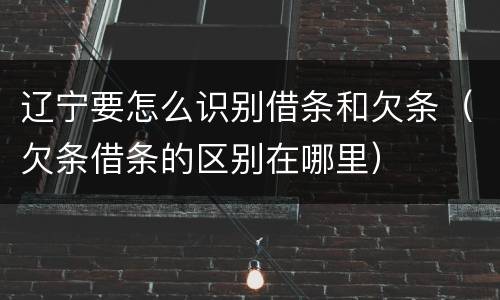 辽宁要怎么识别借条和欠条（欠条借条的区别在哪里）