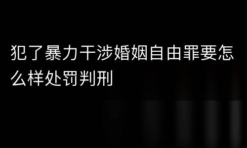 犯了暴力干涉婚姻自由罪要怎么样处罚判刑