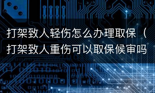 打架致人轻伤怎么办理取保（打架致人重伤可以取保候审吗）
