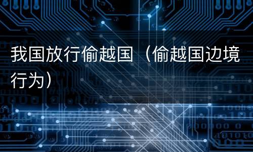 我国放行偷越国（偷越国边境行为）