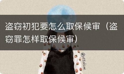 盗窃初犯要怎么取保候审（盗窃罪怎样取保候审）
