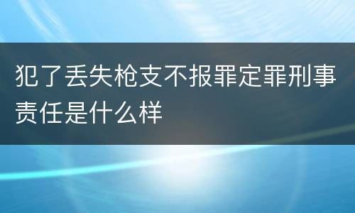 犯了丢失枪支不报罪定罪刑事责任是什么样
