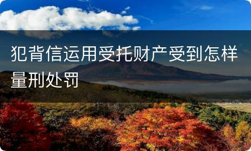 犯背信运用受托财产受到怎样量刑处罚