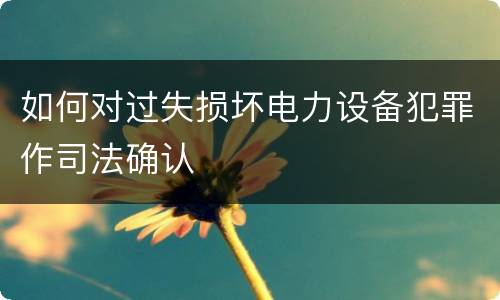 如何对过失损坏电力设备犯罪作司法确认