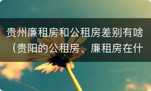 贵州廉租房和公租房差别有啥（贵阳的公租房、廉租房在什么地方?）