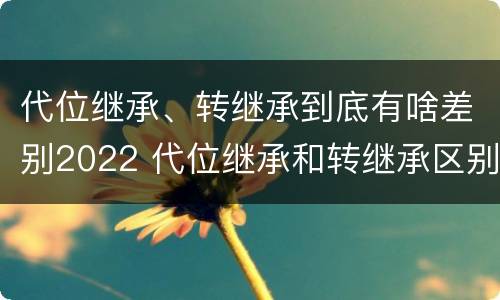 代位继承、转继承到底有啥差别2022 代位继承和转继承区别