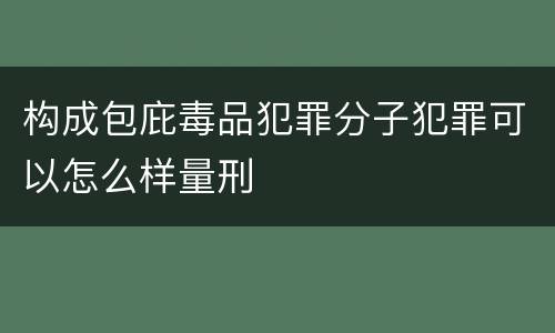 构成包庇毒品犯罪分子犯罪可以怎么样量刑