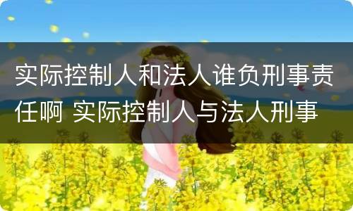 实际控制人和法人谁负刑事责任啊 实际控制人与法人刑事