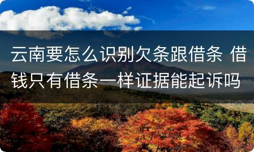 云南要怎么识别欠条跟借条 借钱只有借条一样证据能起诉吗