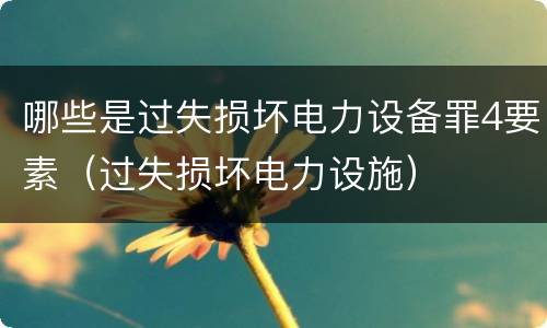哪些是过失损坏电力设备罪4要素（过失损坏电力设施）