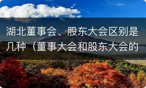 湖北董事会、股东大会区别是几种（董事大会和股东大会的区别）