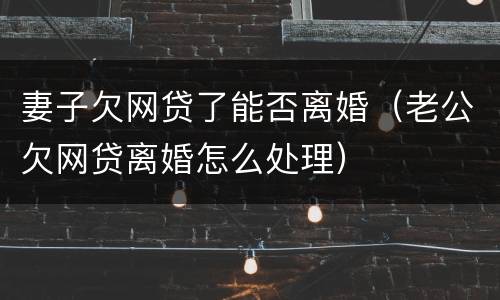 妻子欠网贷了能否离婚（老公欠网贷离婚怎么处理）