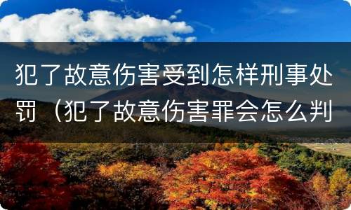 犯了故意伤害受到怎样刑事处罚（犯了故意伤害罪会怎么判）