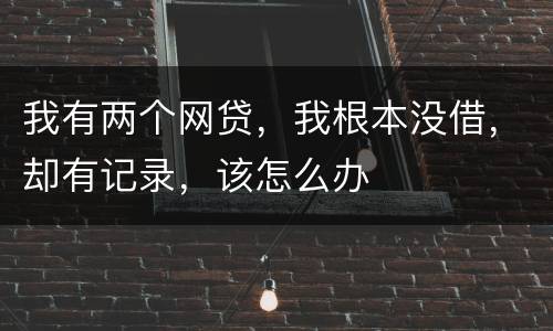 我有两个网贷，我根本没借，却有记录，该怎么办