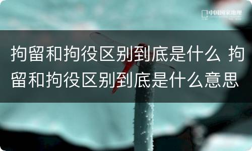 拘留和拘役区别到底是什么 拘留和拘役区别到底是什么意思
