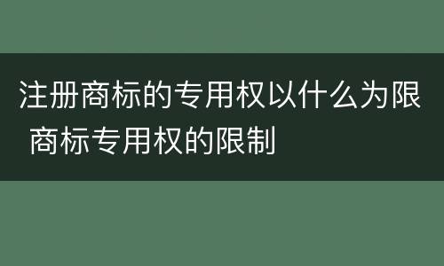 注册商标的专用权以什么为限 商标专用权的限制