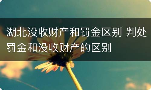 湖北没收财产和罚金区别 判处罚金和没收财产的区别
