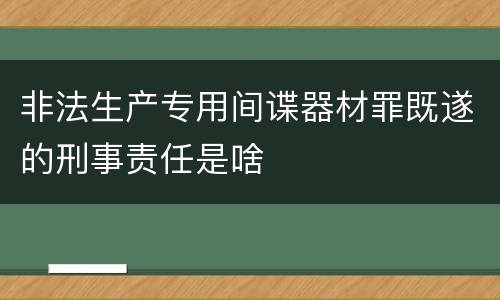 非法生产专用间谍器材罪既遂的刑事责任是啥