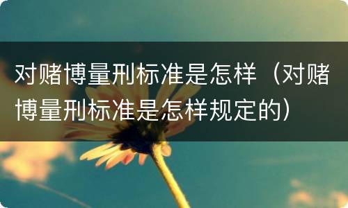 对赌博量刑标准是怎样（对赌博量刑标准是怎样规定的）