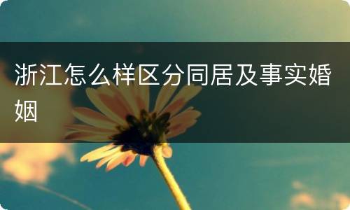 浙江怎么样区分同居及事实婚姻