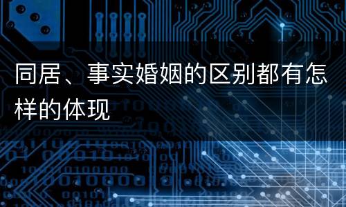 同居、事实婚姻的区别都有怎样的体现