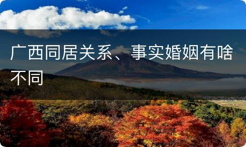 广西同居关系、事实婚姻有啥不同