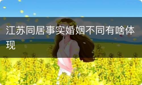 江苏同居事实婚姻不同有啥体现
