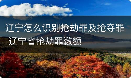辽宁怎么识别抢劫罪及抢夺罪 辽宁省抢劫罪数额