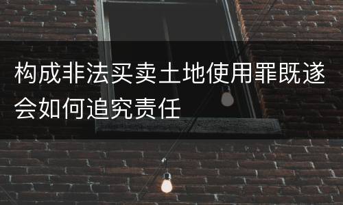构成非法买卖土地使用罪既遂会如何追究责任