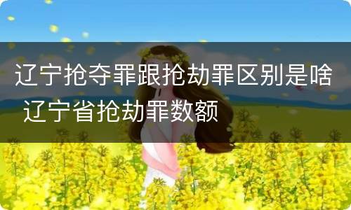 辽宁抢夺罪跟抢劫罪区别是啥 辽宁省抢劫罪数额