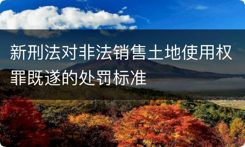 新刑法对非法销售土地使用权罪既遂的处罚标准