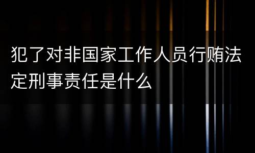犯了对非国家工作人员行贿法定刑事责任是什么