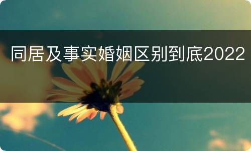 同居及事实婚姻区别到底2022