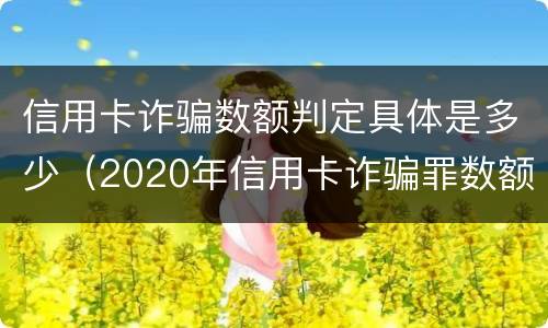 信用卡诈骗数额判定具体是多少（2020年信用卡诈骗罪数额标准）