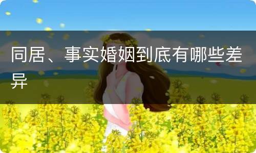 同居、事实婚姻到底有哪些差异