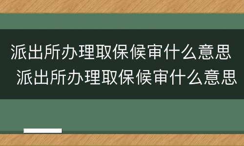 派出所办理取保候审什么意思 派出所办理取保候审什么意思