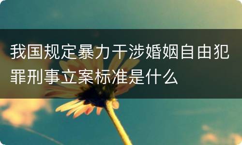 我国规定暴力干涉婚姻自由犯罪刑事立案标准是什么