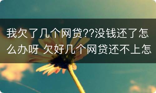 我欠了几个网贷??没钱还了怎么办呀 欠好几个网贷还不上怎么办