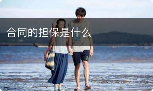 合同的担保是什么