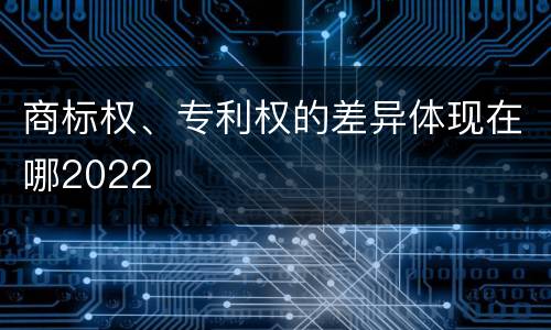 商标权、专利权的差异体现在哪2022