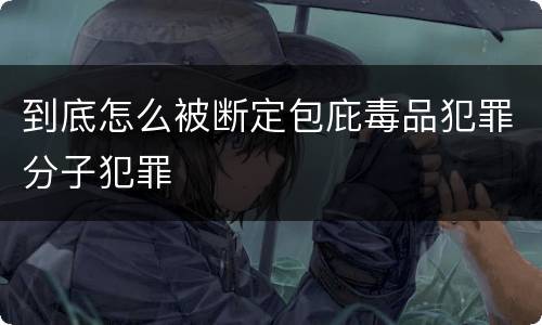 到底怎么被断定包庇毒品犯罪分子犯罪