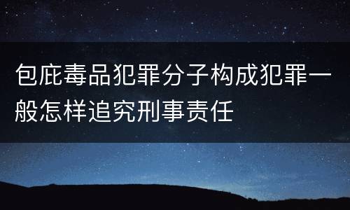 包庇毒品犯罪分子构成犯罪一般怎样追究刑事责任