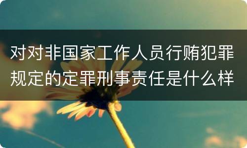对对非国家工作人员行贿犯罪规定的定罪刑事责任是什么样的