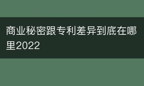 商业秘密跟专利差异到底在哪里2022