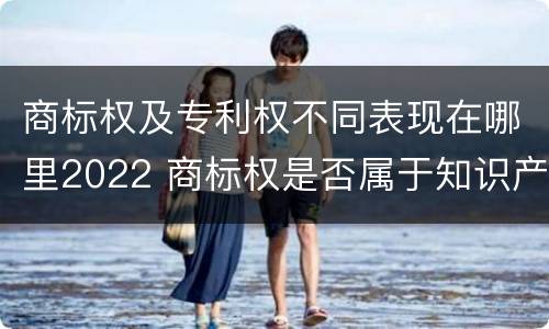 商标权及专利权不同表现在哪里2022 商标权是否属于知识产权