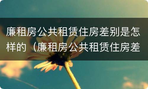 廉租房公共租赁住房差别是怎样的（廉租房公共租赁住房差别是怎样的呢）